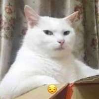 789x789