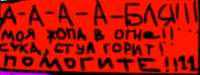 427x161