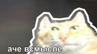 1280x720