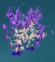 183x203