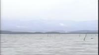 1280x720
