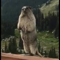 960x960