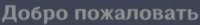 297x38