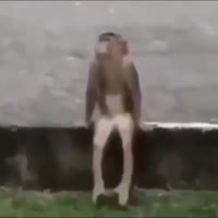 480x480