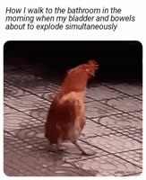 522x638