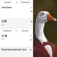 1920x1920
