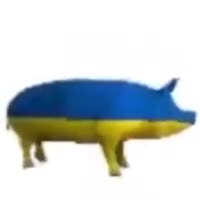 432x432