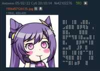382x271