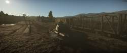 3440x1440