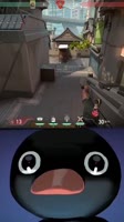 608x1080