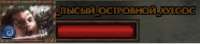558x125