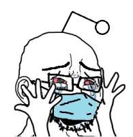 269x275