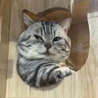 900x900