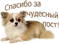 400x300