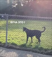 576x627
