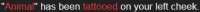 331x21