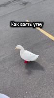 576x1024