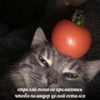 1280x1280