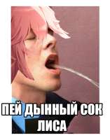 392x497