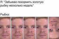 277x182
