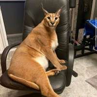 900x900