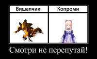 607x371