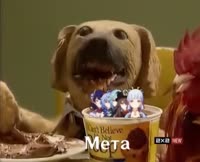 442x360