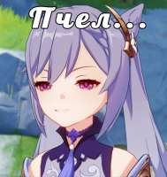 754x797