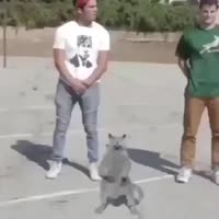 360x360