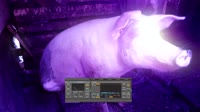 640x360