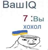 219x230