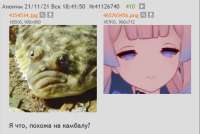 607x408