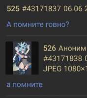 365x411