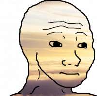 427x424