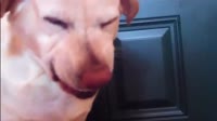 640x360