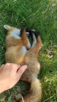 360x640
