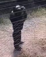 480x600