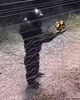 480x600