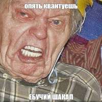 500x499