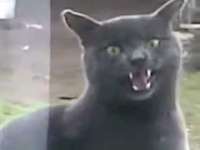480x360