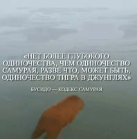 1074x1080