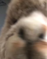 720x900