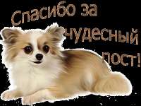 400x300