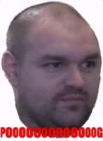 236x320