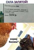 743x1080