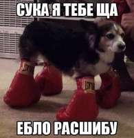 400x410