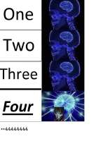 491x729