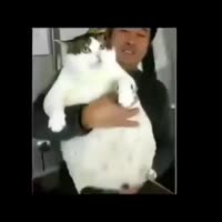 360x360