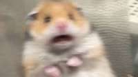 300x168