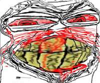 666x555